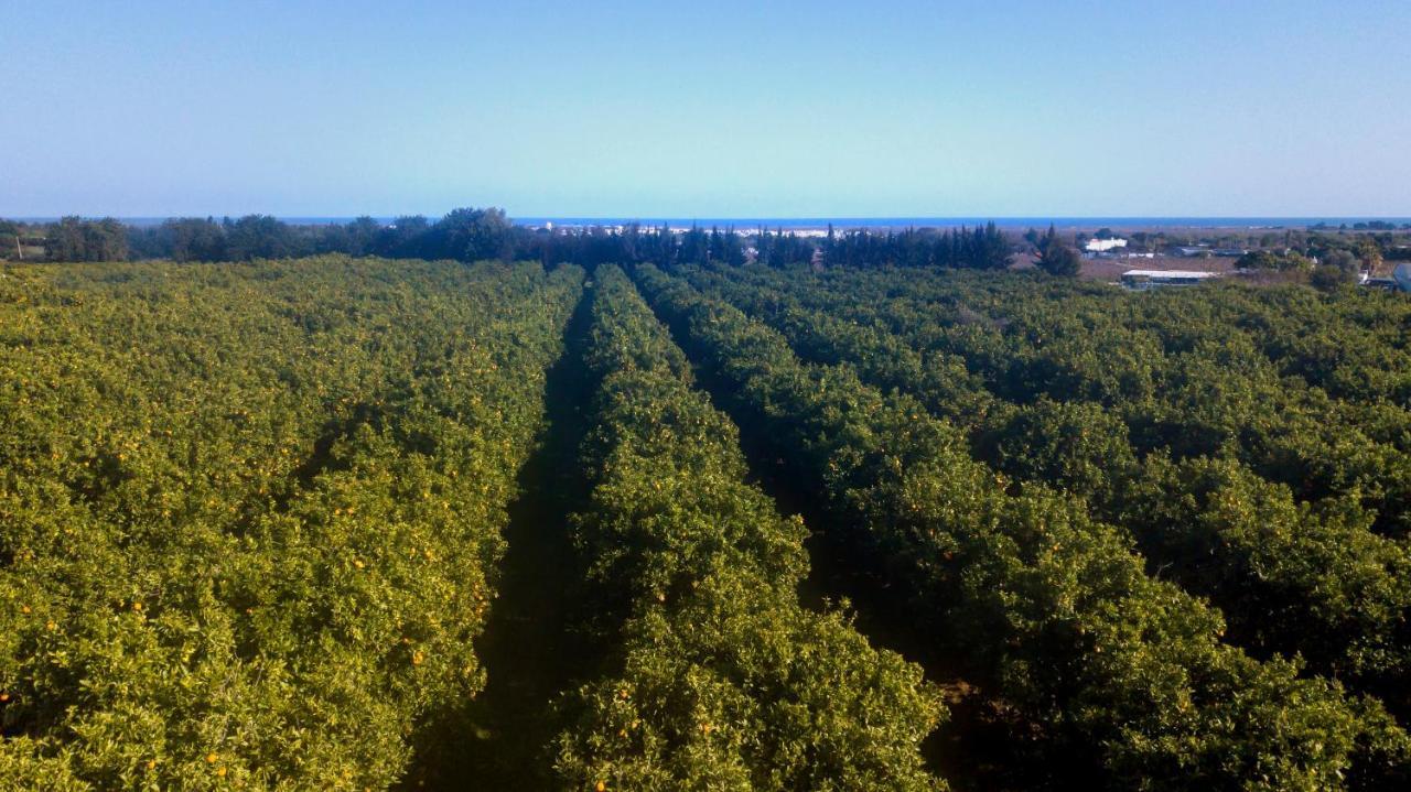 Quinta Da Pintassilga Villa Tavira Eksteriør bilde